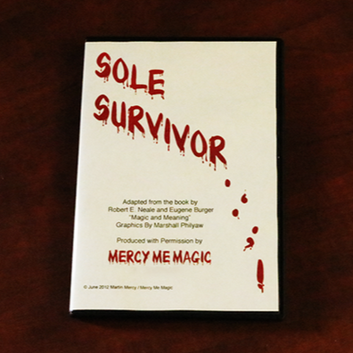 Sole Survivor by Martin Mercy
